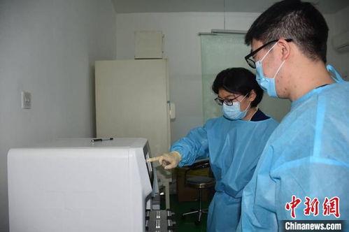 舒兰新冠疫情最新爆料,揭秘病毒传播链与防控措施