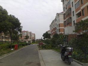 施湾镇房价最新爆料,涨幅惊人，投资潜力无限！