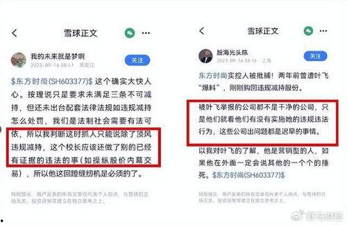 叶飞股市最新爆料,揭秘股市内幕，揭示投资风险与机遇