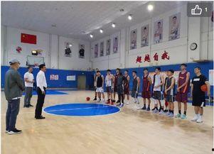 球队最新爆料新闻直播,最新爆料揭示球队关键动态与策略调整